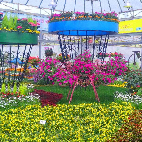 인천대공원 꽃전시관