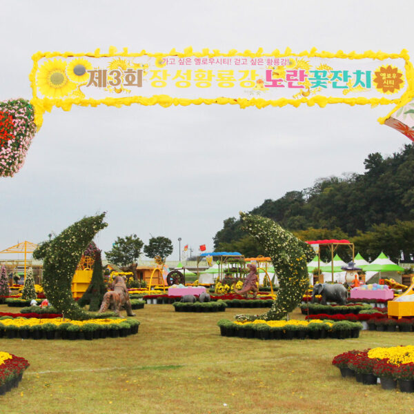 장성황룡강 노란꽃잔치
