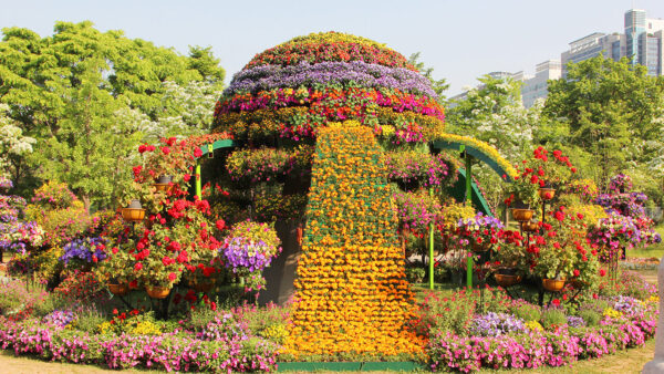 flowergarden_014.jpg