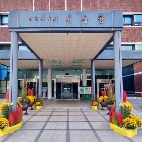2023 인천 서구청 청사일원 초화관리사업(1)