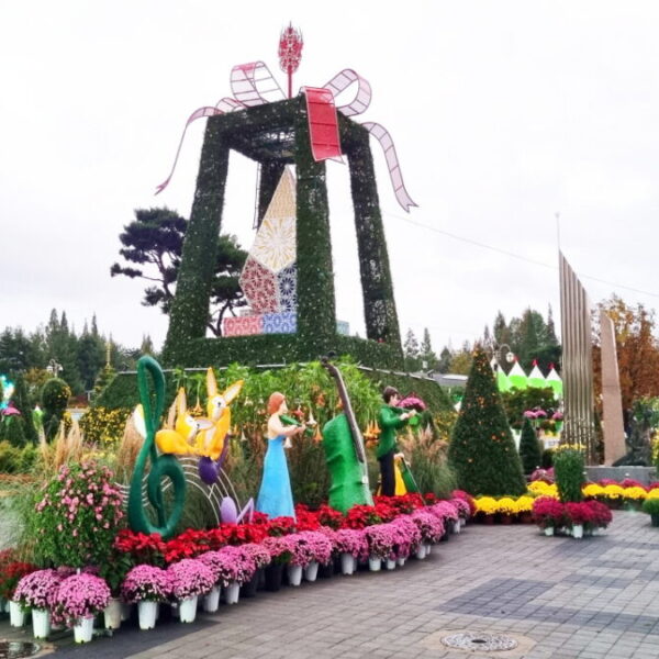 익산천만송이국화축제(2)