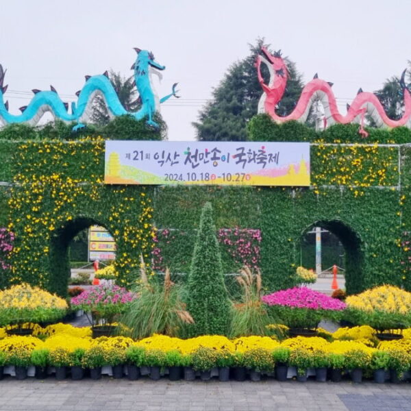 익산천만송이국화축제(6)