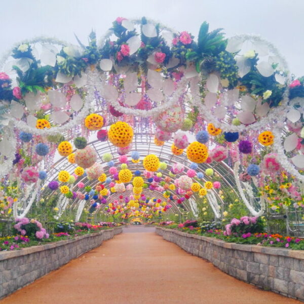꽃볼터널